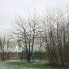 kop_4