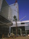 National Library of France - the garden