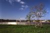 Velodrome and Olympic swimming pool - The 